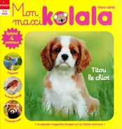 Dora l'Exploratrice : Chassez les étoiles