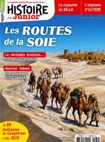 Histoire Junior