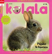 Kolala