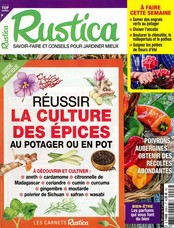 Rustica