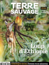 Terre Sauvage N° 441 Septembre 2025