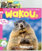 Wakou
