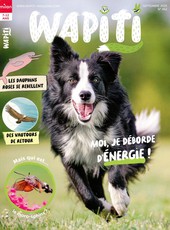 Wapiti N° 461 Juillet 2025